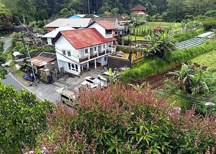 Ayudia Camp Bali Candikuning